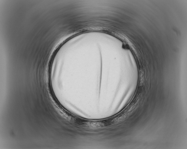 X0000113010795200909241350