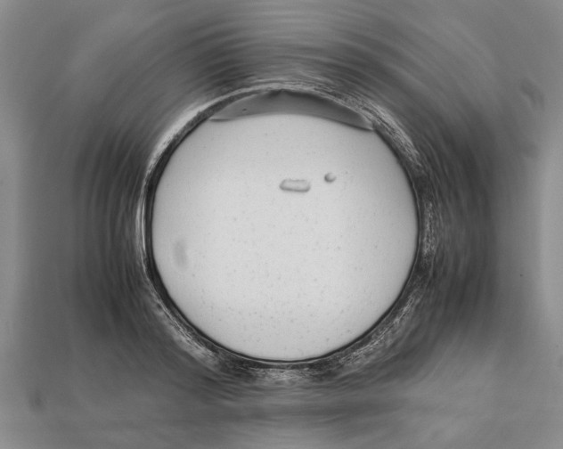 X0000113010796200909241350