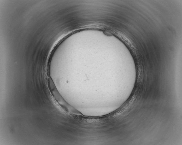 X0000113010800200909241350