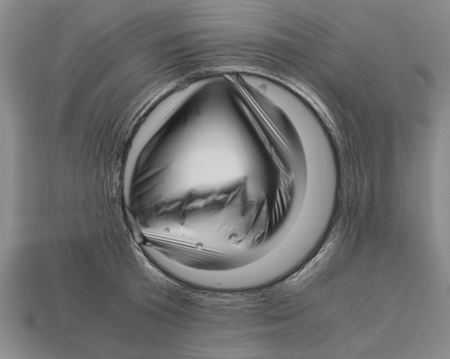 X0000113010801200909241350