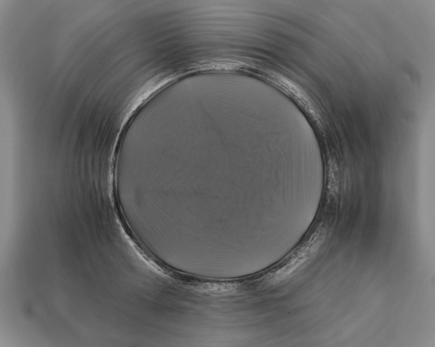X0000113010802200909241350