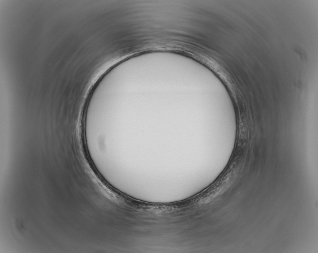 X0000113010803200909241350