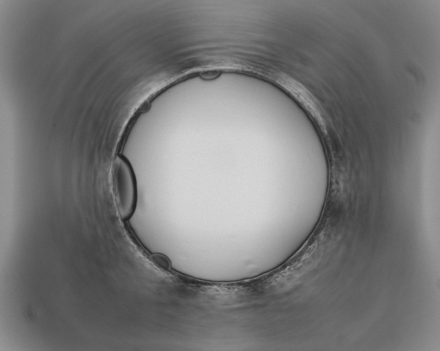 X0000113010805200909241350