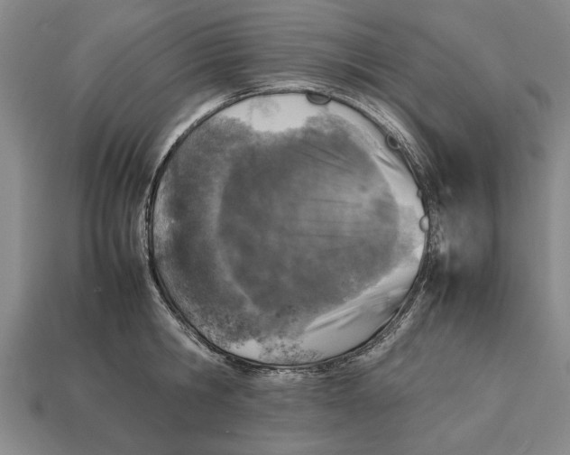 X0000113010806200909241350