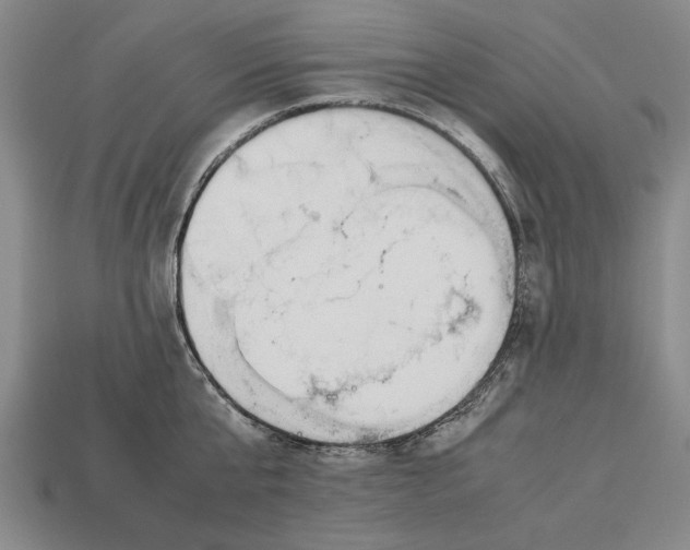 X0000113010807200909241350