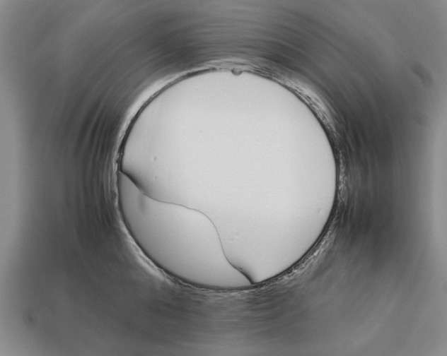 X0000113010808200909241350