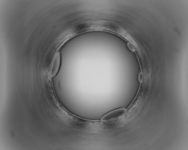 X0000113010809200909241350