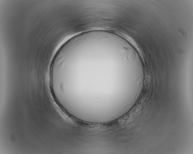 X0000113010811200909241350