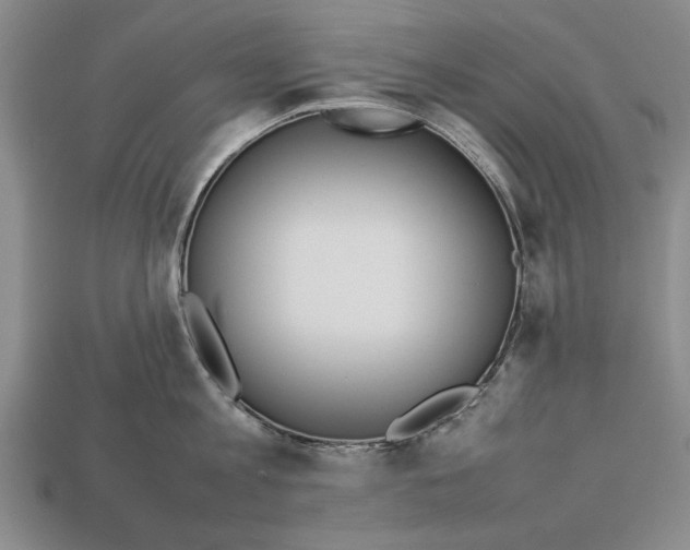 X0000113010813200909241350
