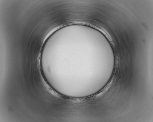 X0000113010814200909241350
