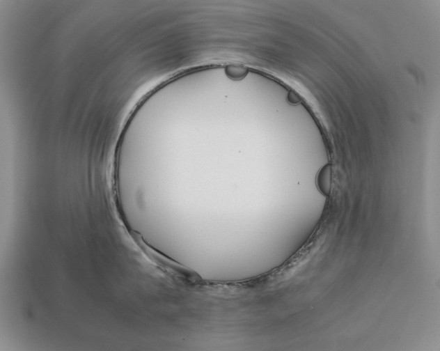 X0000113010815200909241350