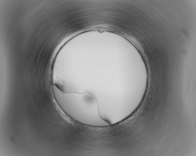 X0000113010816200909241350