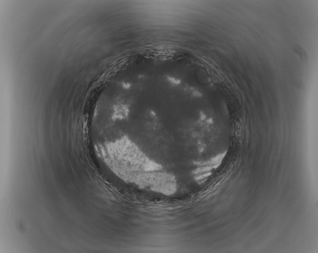 X0000113010818200909241350