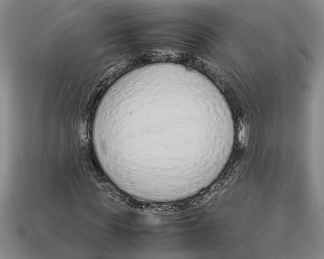 X0000113010819200909241350