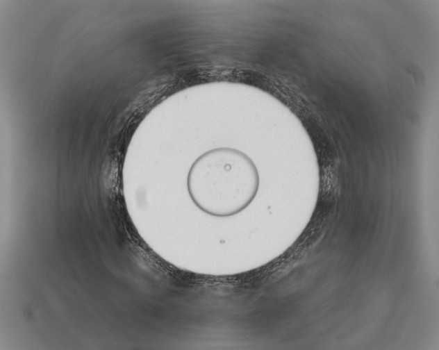 X0000113010820200909241350