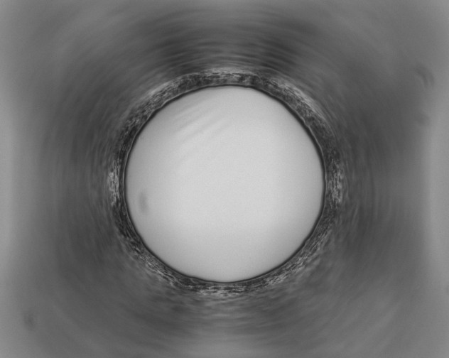 X0000113010821200909241350
