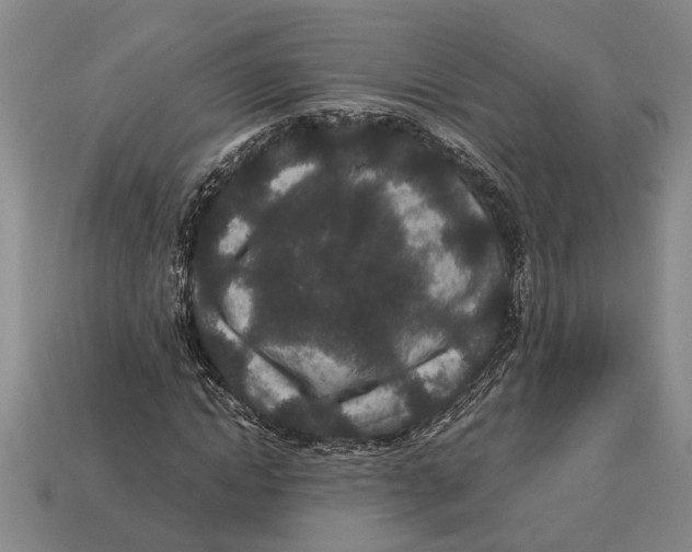 X0000113010822200909241350