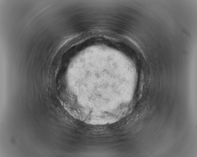 X0000113010823200909241350
