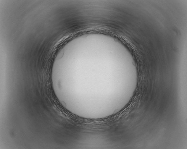 X0000113010824200909241350