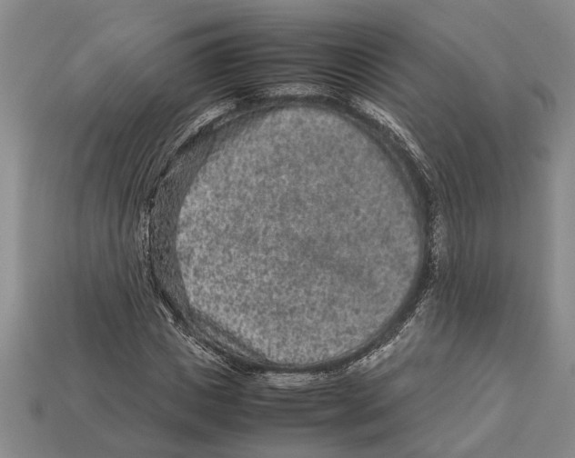 X0000113010825200909241350