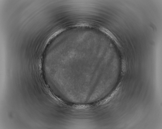 X0000113010826200909241350