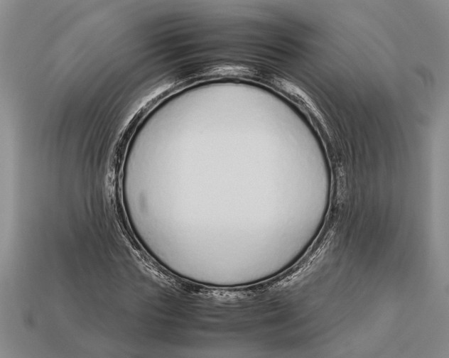X0000113010827200909241350
