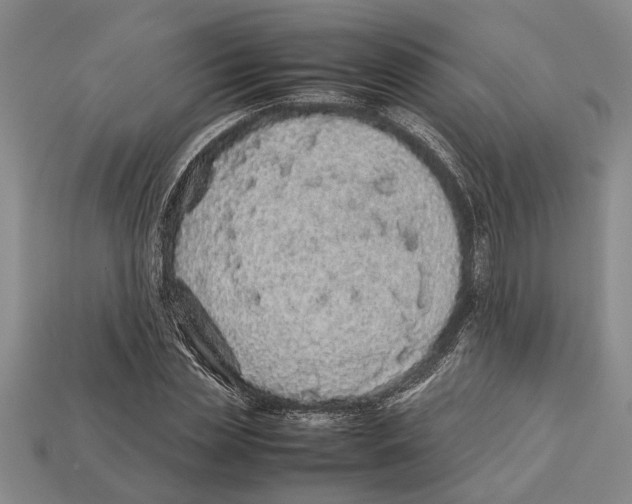 X0000113010829200909241350