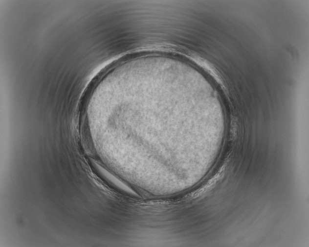 X0000113010830200909241350