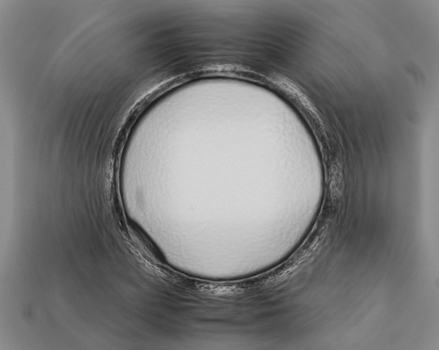 X0000113010831200909241350