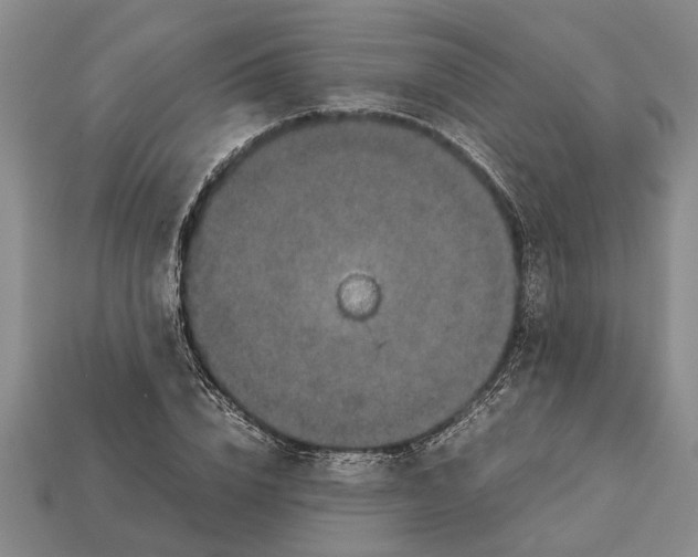 X0000113010832200909241350
