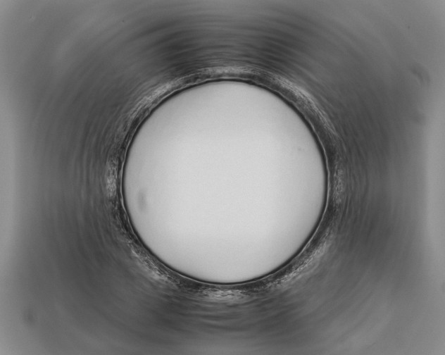 X0000113010833200909241350