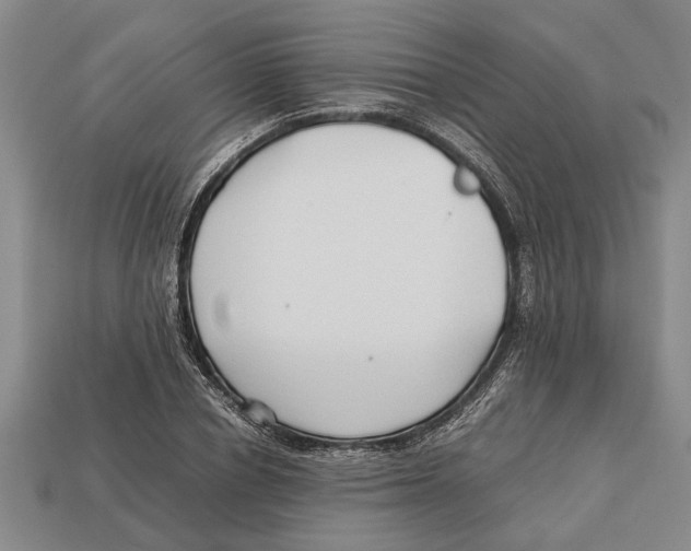 X0000113010834200909241350