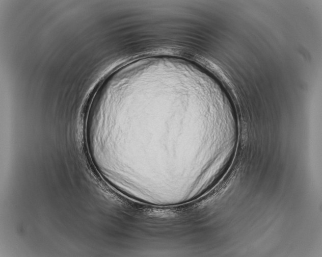 X0000113010835200909241350