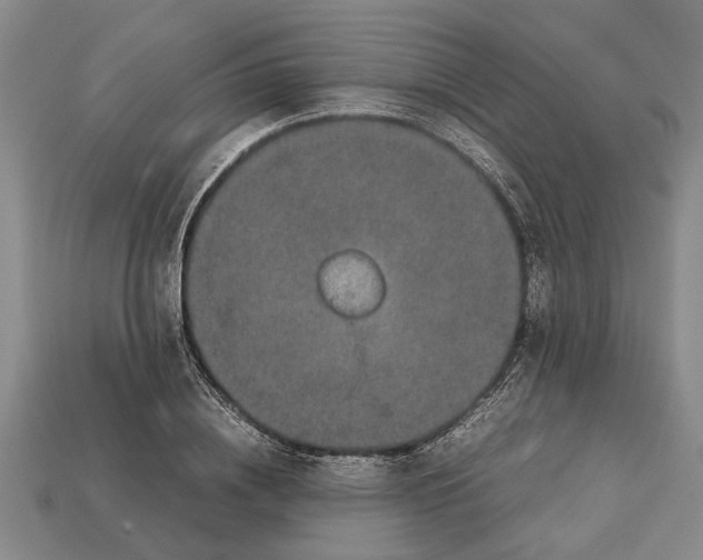 X0000113010836200909241350