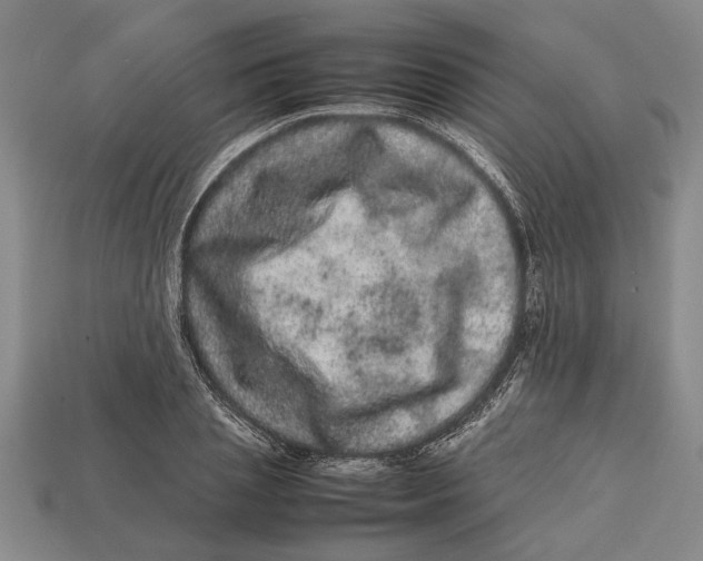 X0000113010837200909241350