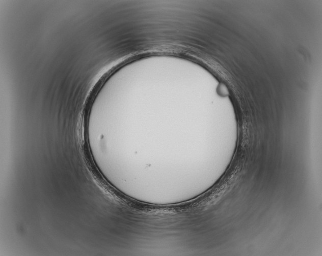 X0000113010838200909241350