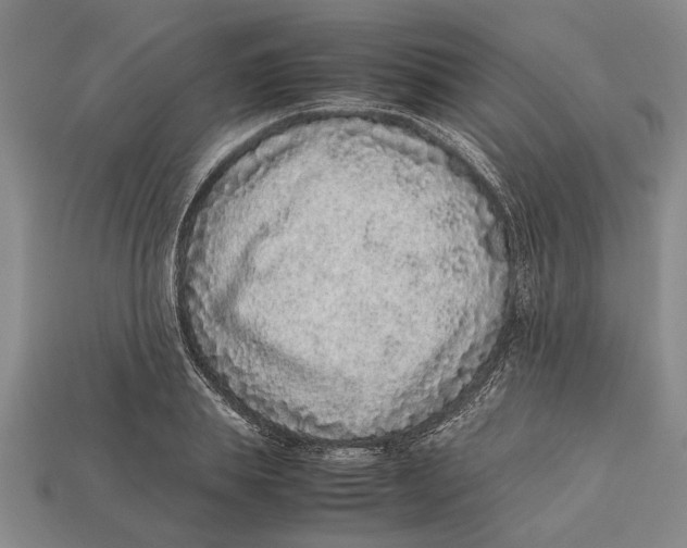 X0000113010839200909241350