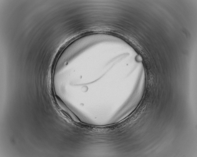 X0000113010840200909241350