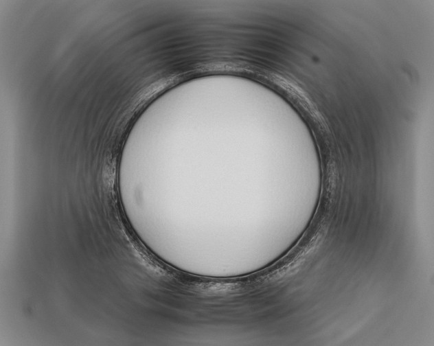 X0000113010841200909241350