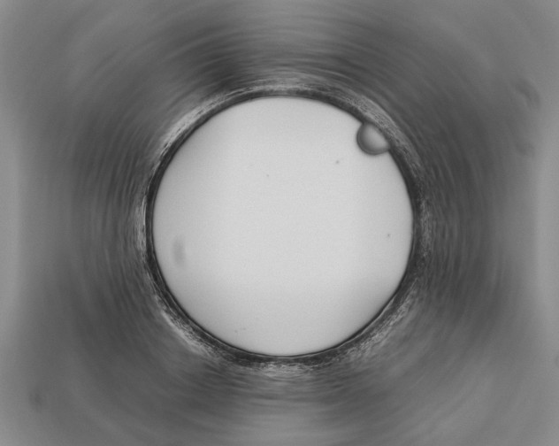 X0000113010842200909241350