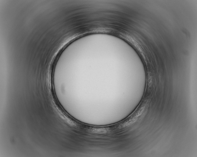 X0000113010843200909241350