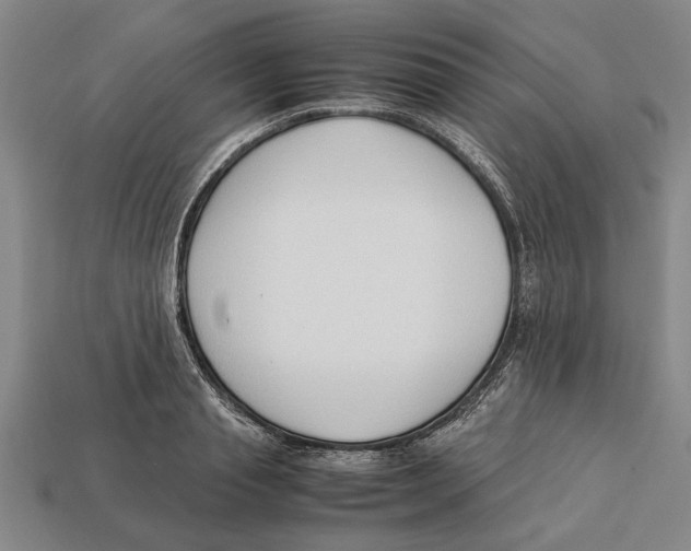 X0000113010845200909241350