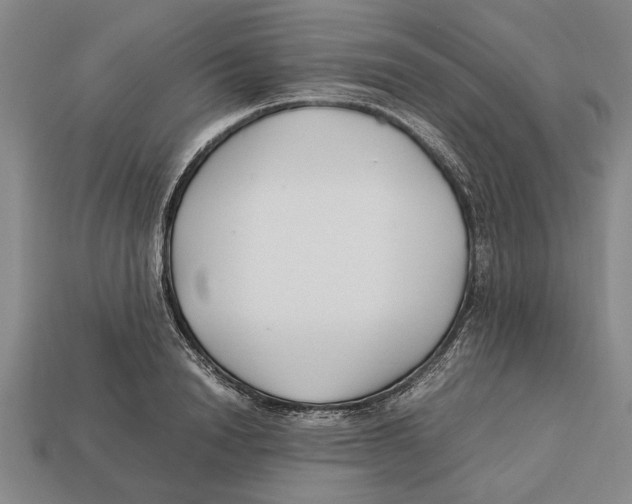 X0000113010846200909241350