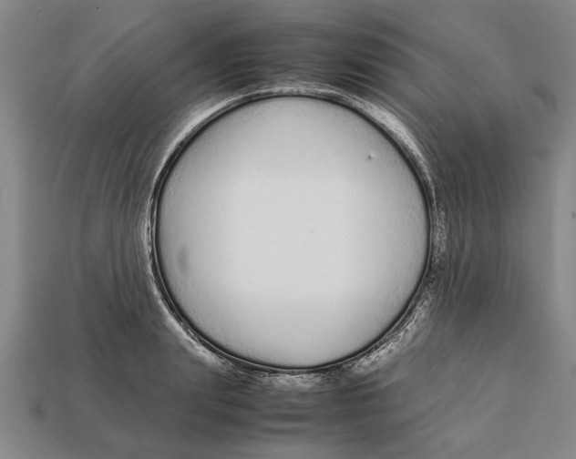 X0000113010847200909241350