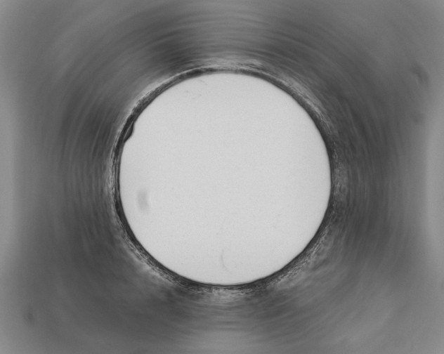X0000113010848200909241350