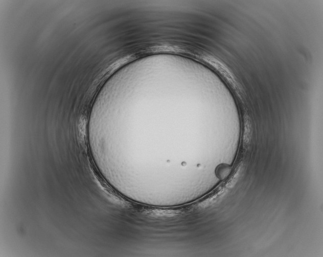 X0000113010849200909241350