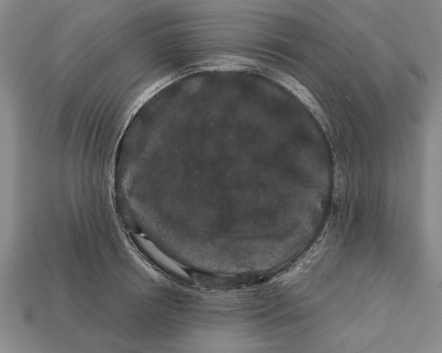 X0000113010850200909241350