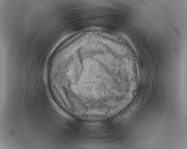 X0000113010851200909241350