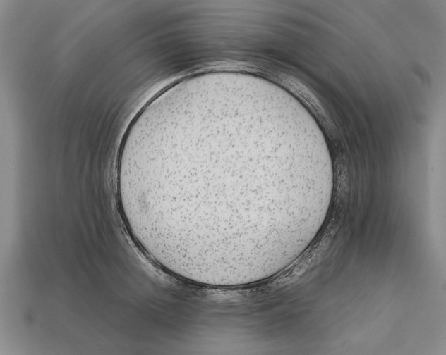 X0000113010852200909241350