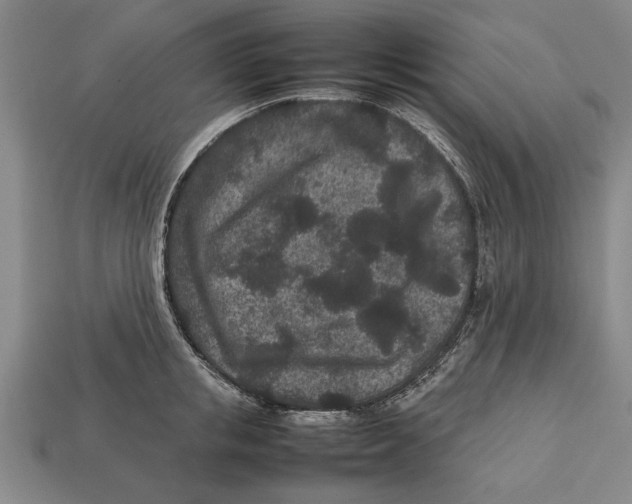 X0000113010853200909241350